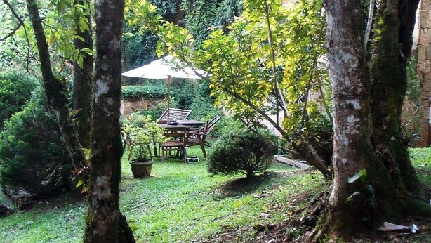 A lush garden with trees, a small table, and a chair. - Casa Yvitú Blue Bird Hotel (Campos do Jordão)