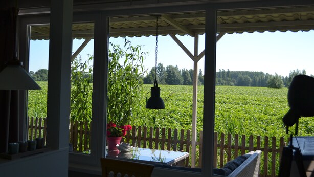 Una habitación con vistas a un campo verde, una cerca de madera y un colgador de luz.