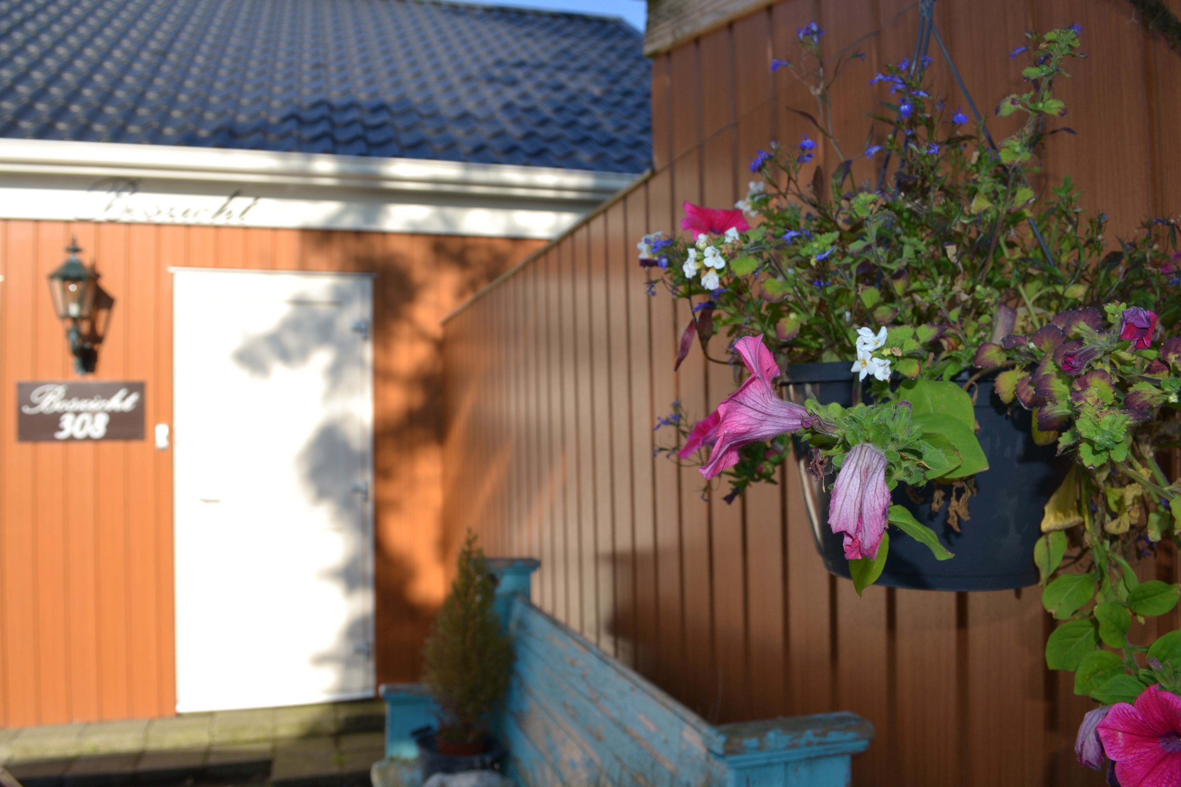 Foto - Bed & Breakfast Boszicht Leeuwarden