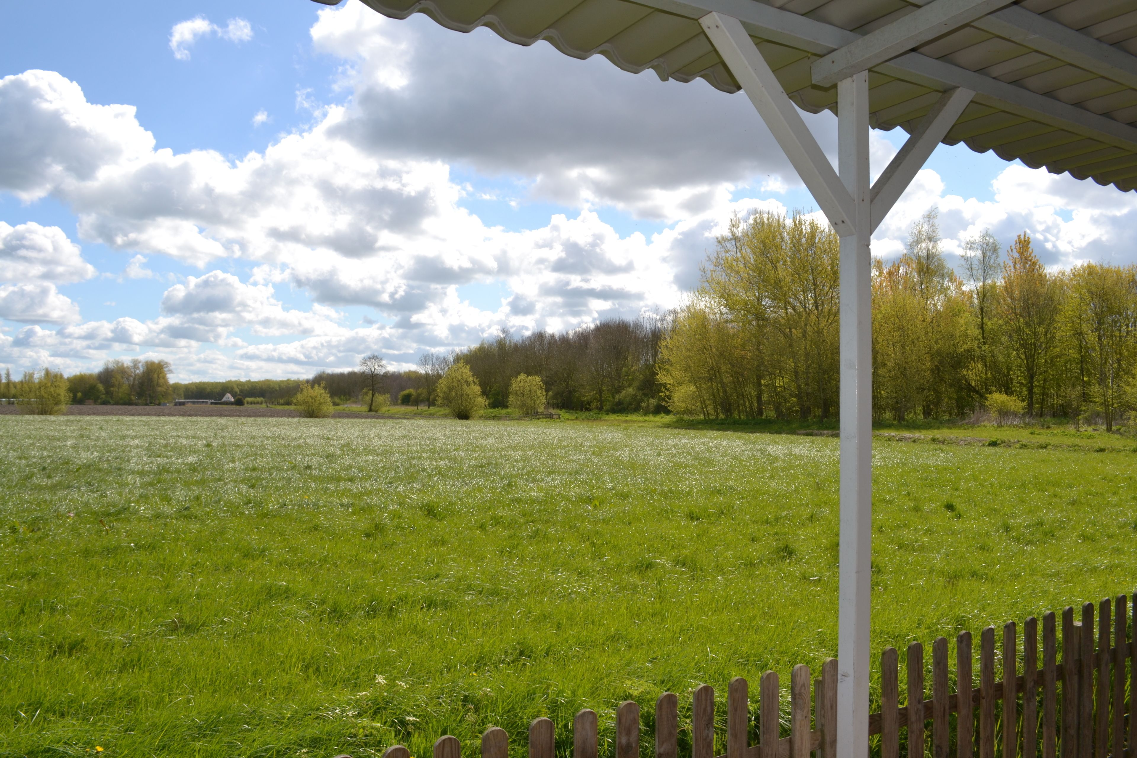 Foto - Bed & Breakfast Boszicht Leeuwarden