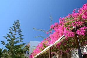 حديقة