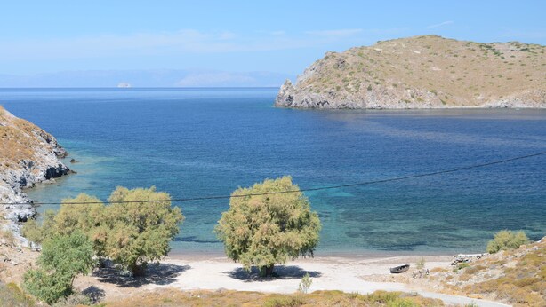 Eine Küstenlandschaft mit freiem Blick auf das Meer, einem Sandstrand und vereinzelten Bäumen.