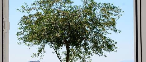 Apartment, 2 Bedrooms | Pemandangan dari bilik