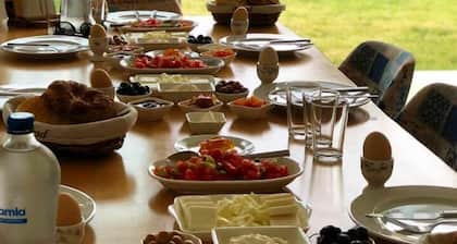 Clementine Suits Sigacik