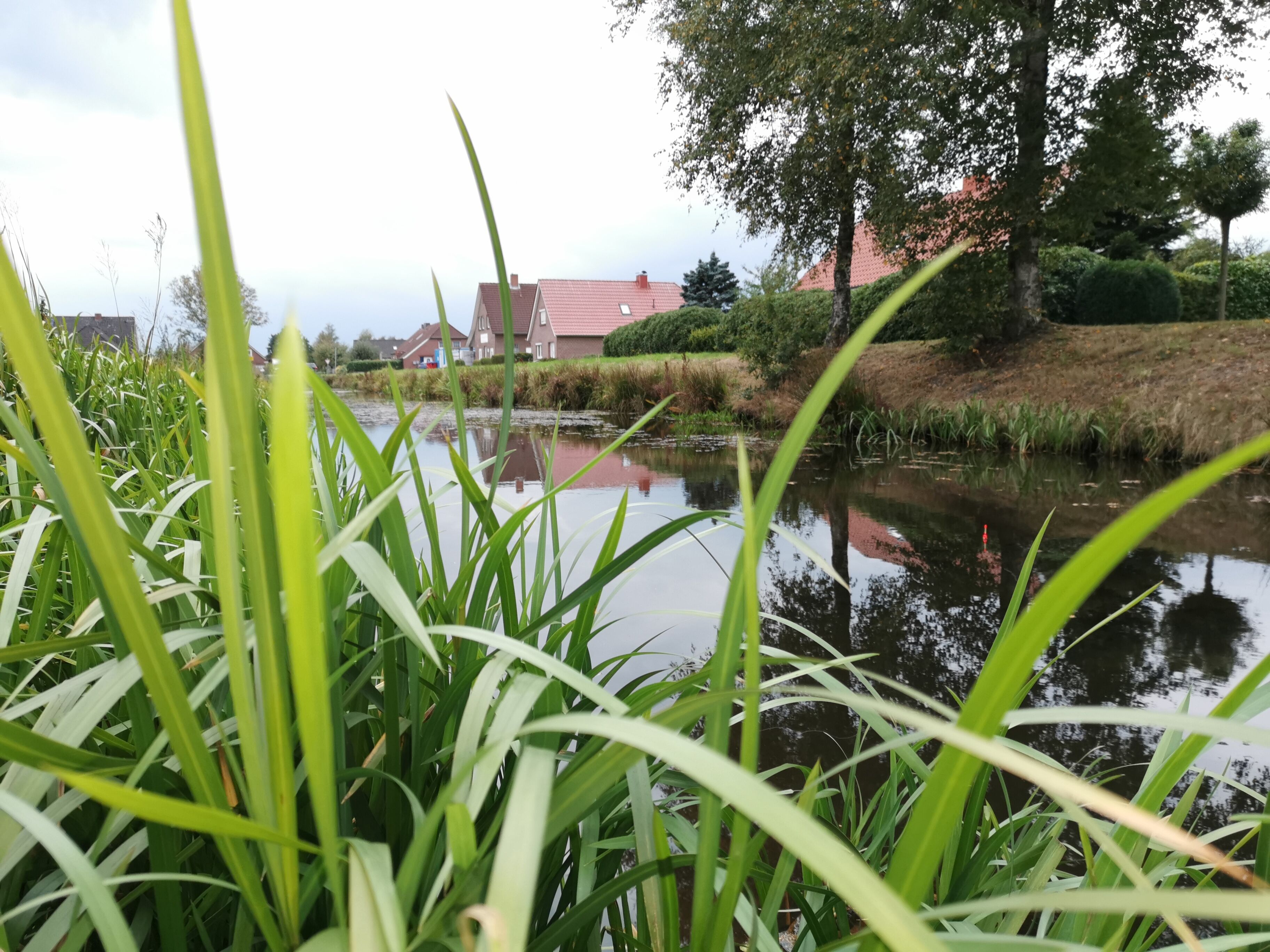 A calm water body with surrounding greenery and a distant building with a red roof.