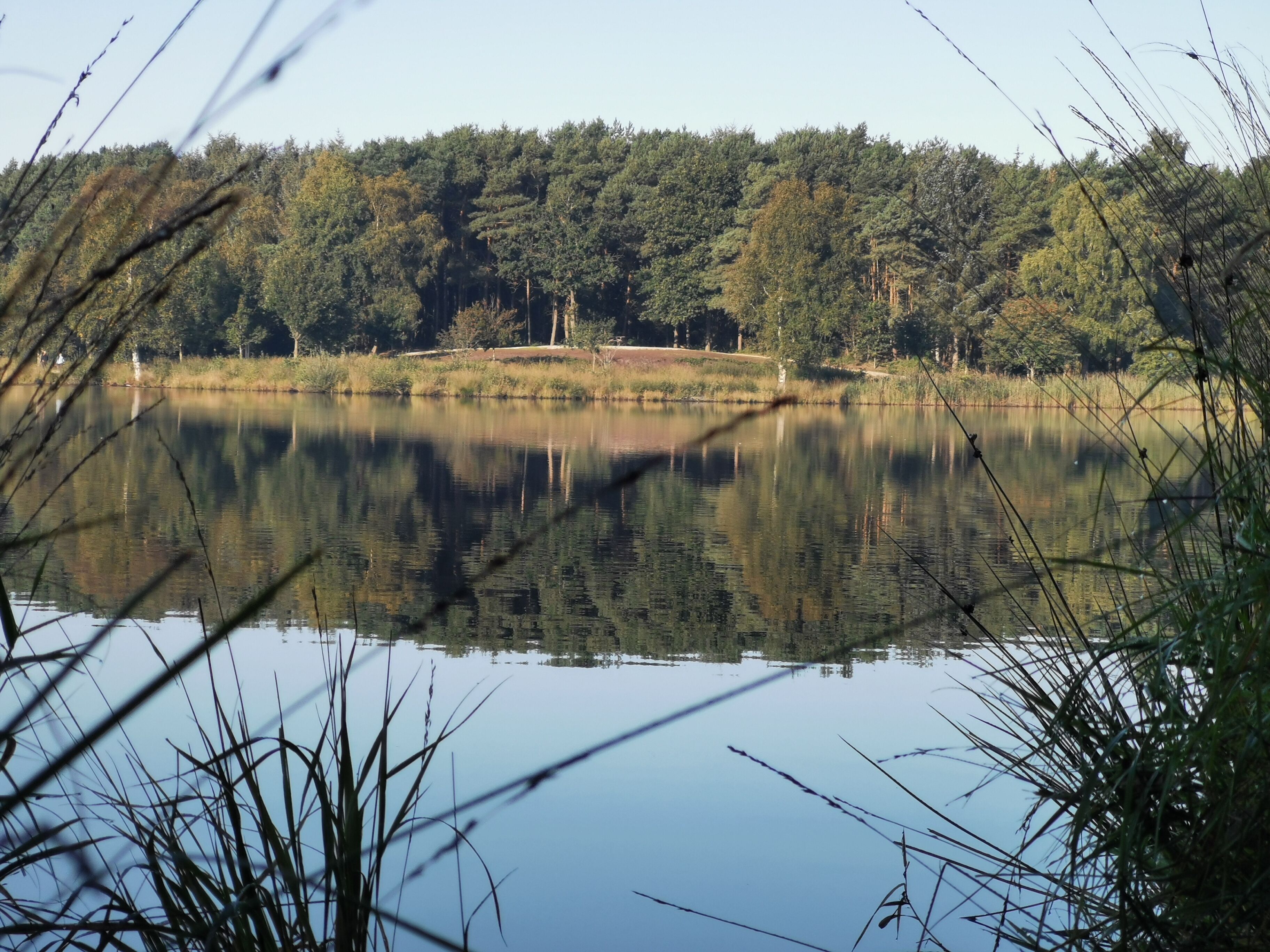 A calm lake with reflections of trees and a forested hill in the background.