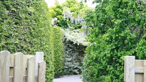 Un étroit sentier de pierres, bordé de haies verdoyantes et denses, et d’une clôture en bois.