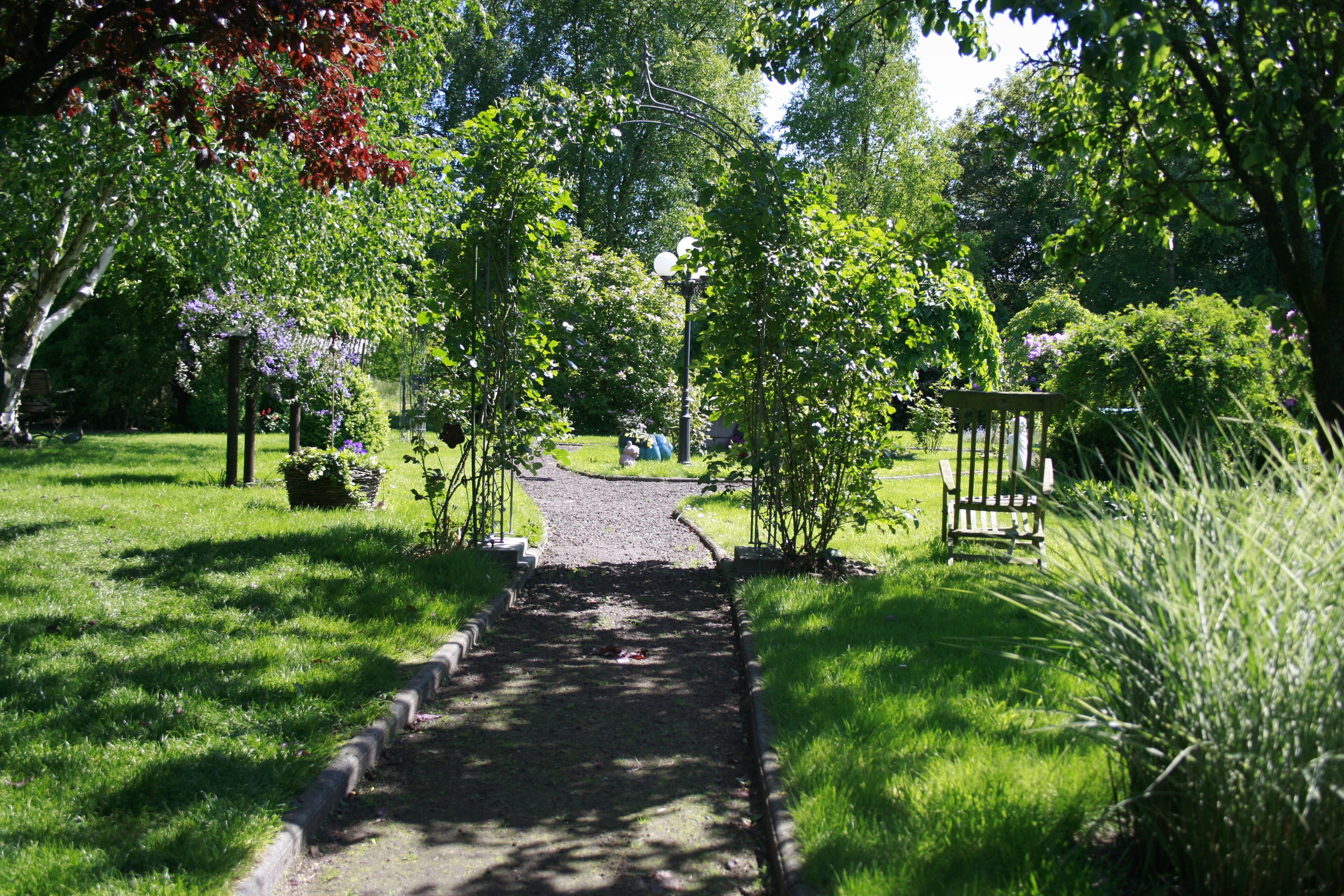 A pathway leading through a park with trees and a bench.
