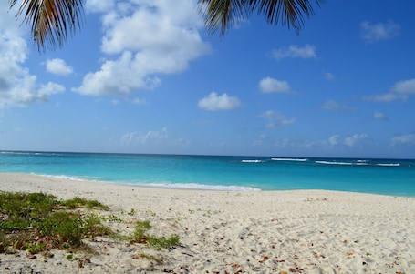 Plage à proximité, sable blanc