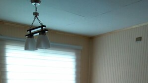 Standard Apartment, 3 Bedrooms | Living room | TV - Cabañas del Profe (Puerto Montt)