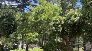 A paved courtyard with a variety of trees and a bench. - Pousada Vovô Nino (Gramado)