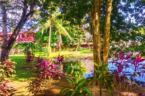 Quang cảnh từ phòng