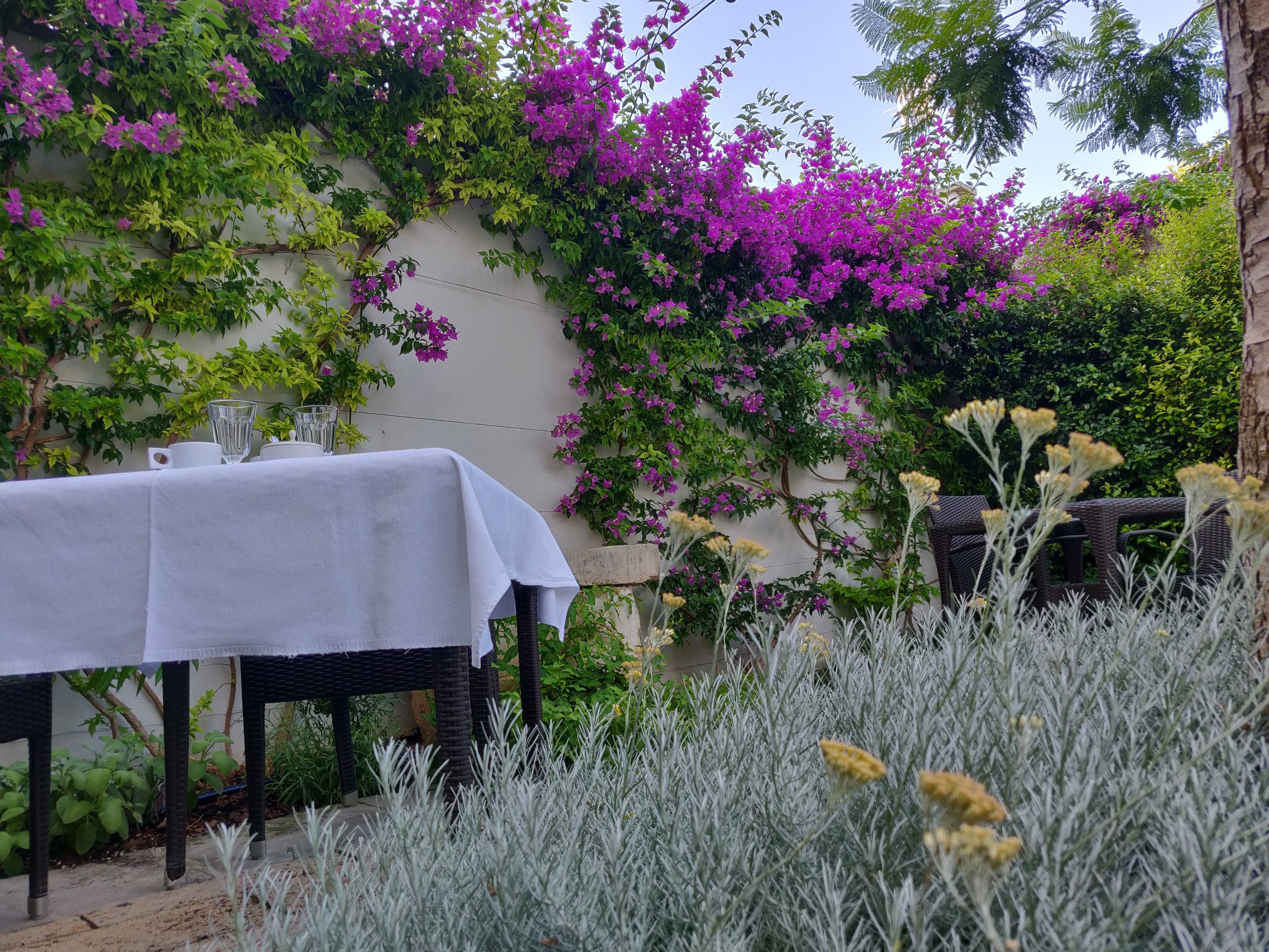 Un espace de restauration en plein air avec une table dressée pour deux personnes, entouré d’une végétation luxuriante et de plantes en fleurs.