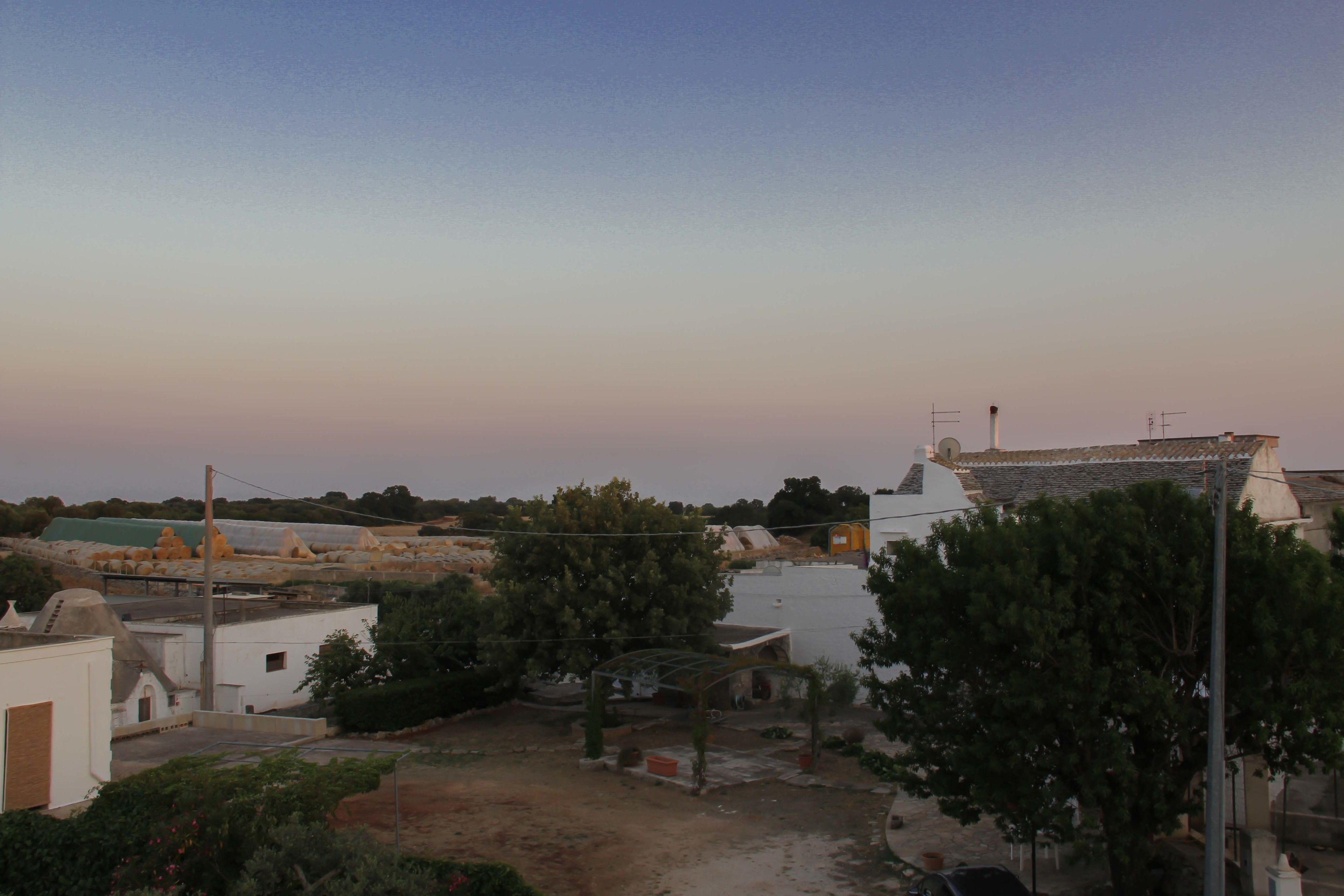 A residential area with houses, a garden, and a clear sky.