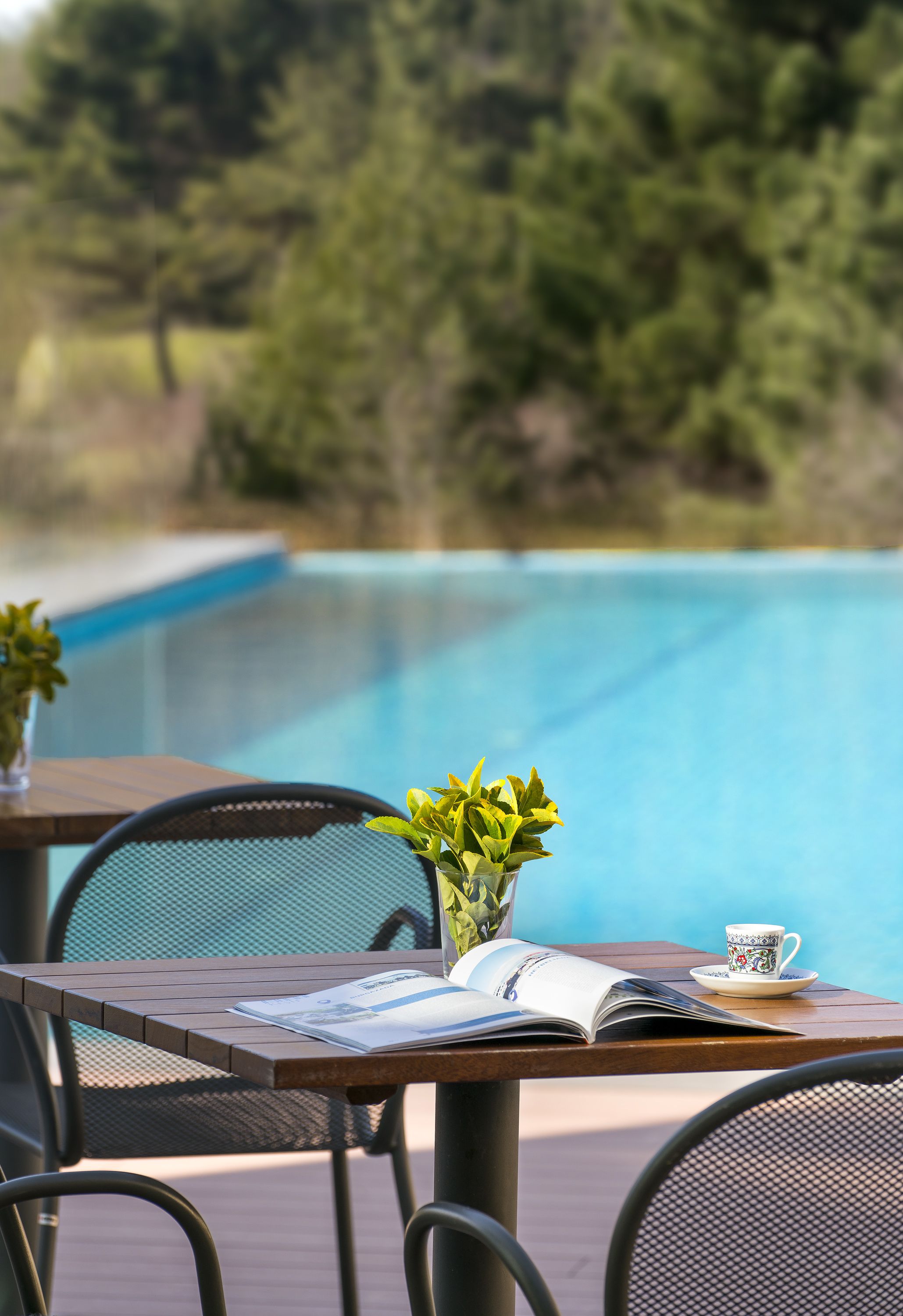 Una mesa de madera con un libro, una taza y una planta en maceta junto a una piscina.