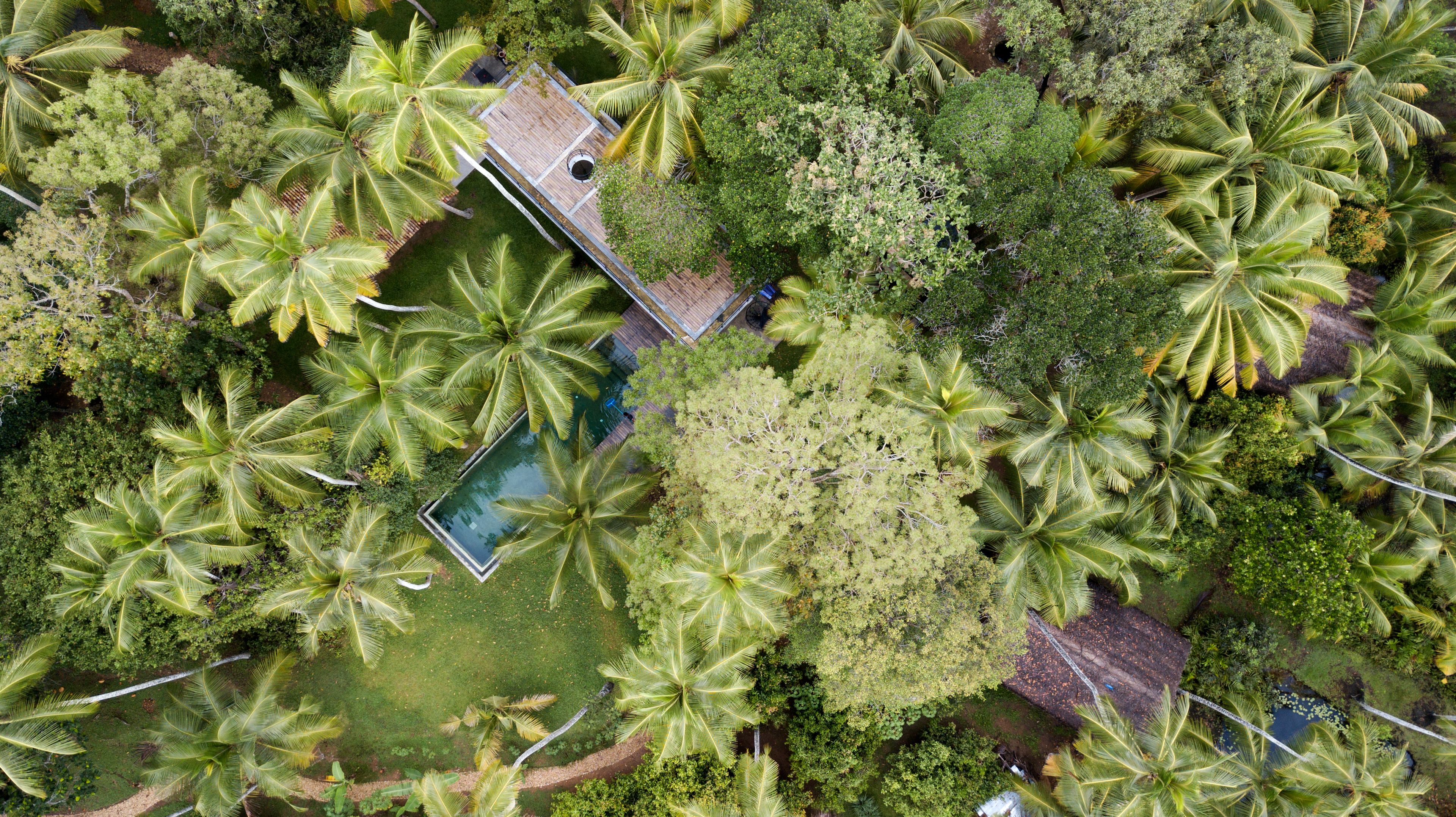 An aerial view of a resort with a swimming pool surrounded by palm trees and dense vegetation.