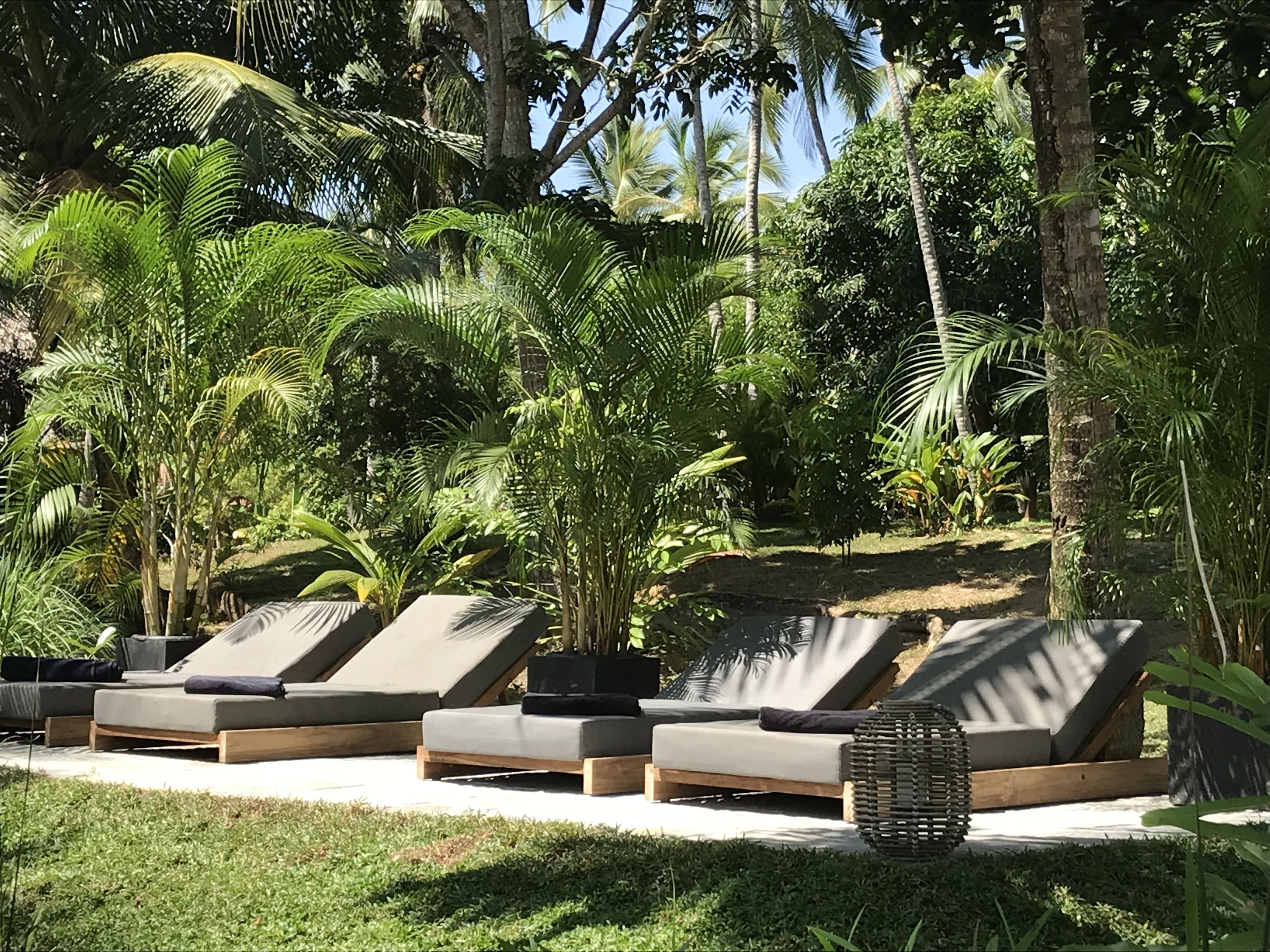 A row of lounge chairs with cushions, surrounded by lush greenery and palm trees.