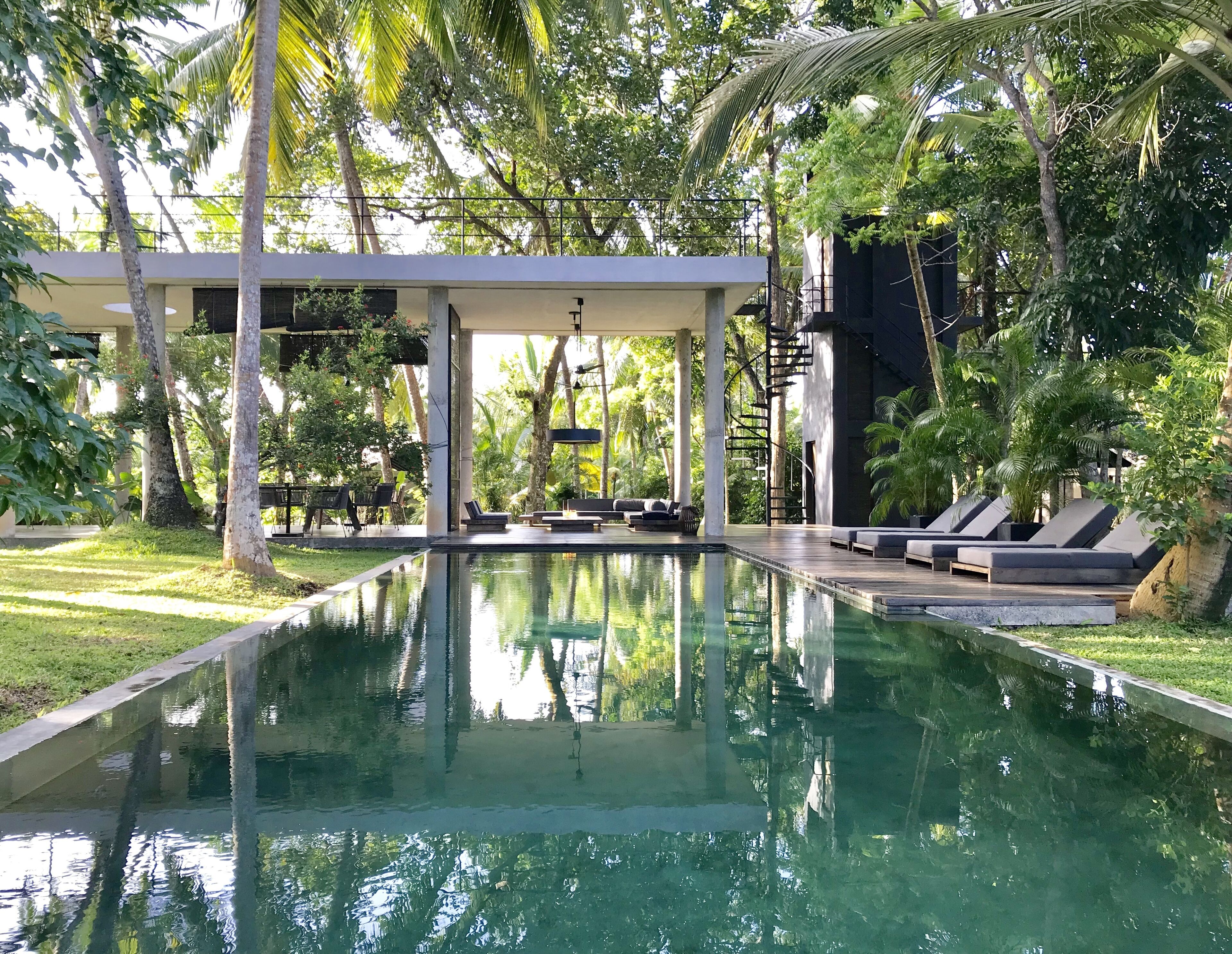Outdoor pool, sun loungers