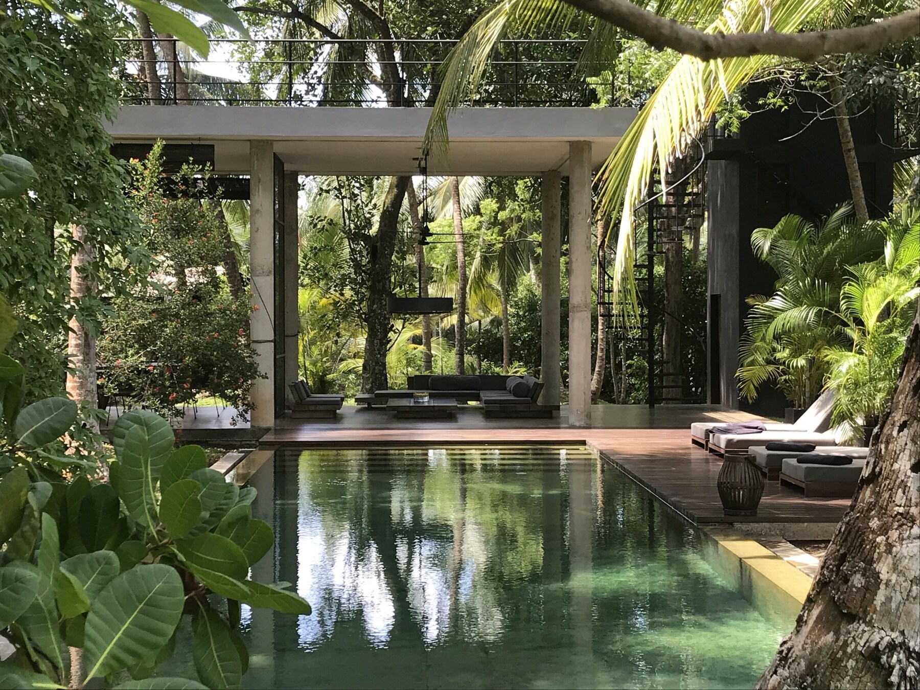 Outdoor pool, sun loungers