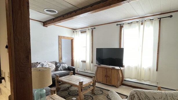 A living room with a sofa, a coffee table, a television, and a patterned rug. - Adventures Vacation Rentals (Lava Hot Springs)