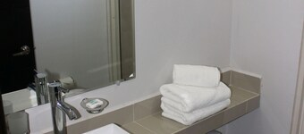 Hotel Tampico Express