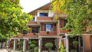 Un edificio de dos pisos con fachada de ladrillo, varias ventanas y un patio cubierto con plantas en macetas y una pequeña mesa.