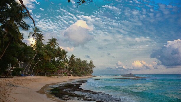 A beach with palm trees, a sandy shore, and a calm sea. - Shanthi beach resort (Unawatuna)