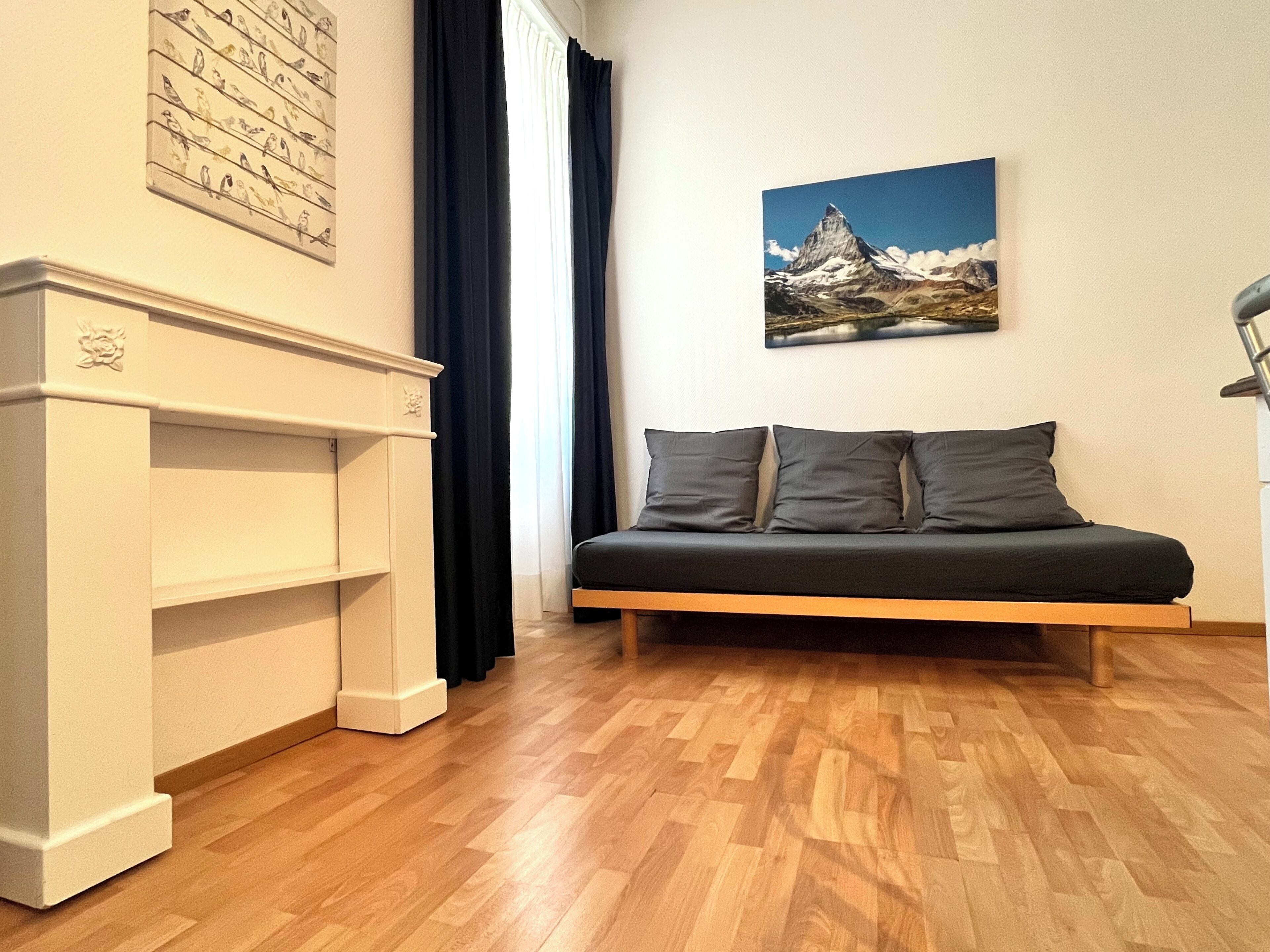 A room with a wooden floor, a sofa with cushions, a fireplace, and a painting of a mountain on the wall.