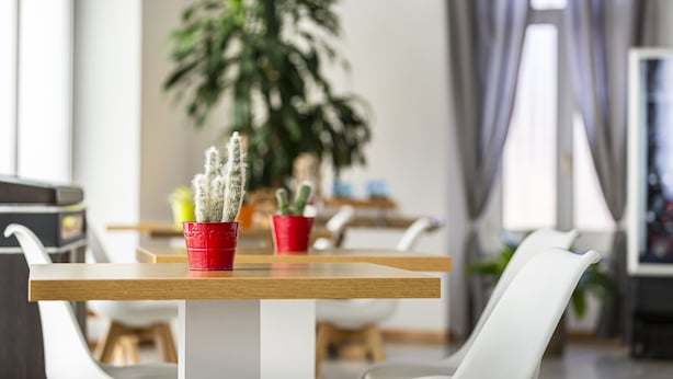 A dining area with a wooden table and white chairs, a potted cactus, and a large plant in the background. - Lugano Center GuestHouse (Lugano)