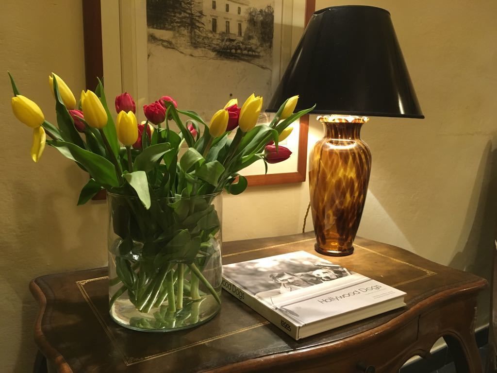 Enkel glassvas med gule og røde tulipaner på et træbord, ved siden af en bog med titlen "Hollywood Dogs" og en sort lampe.