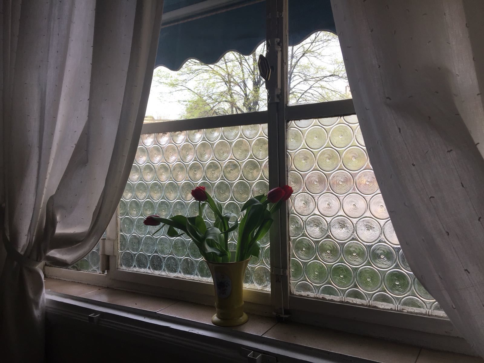 A window with a decorative glass pattern, a vase with flowers, and curtains.