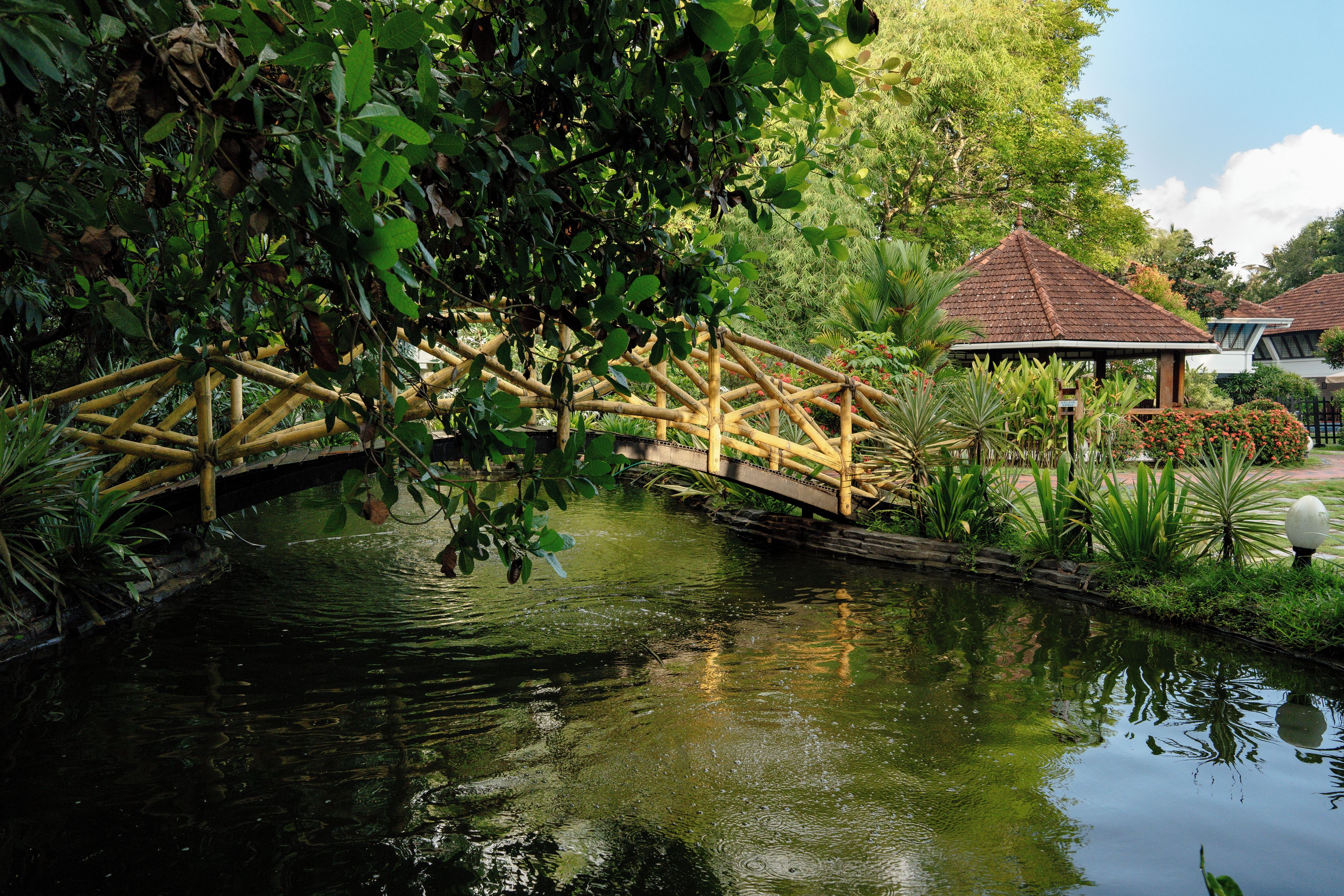 Un puente de bambú sobre aguas tranquilas, rodeado de exuberante vegetación y un edificio tradicional con techo de tejas.