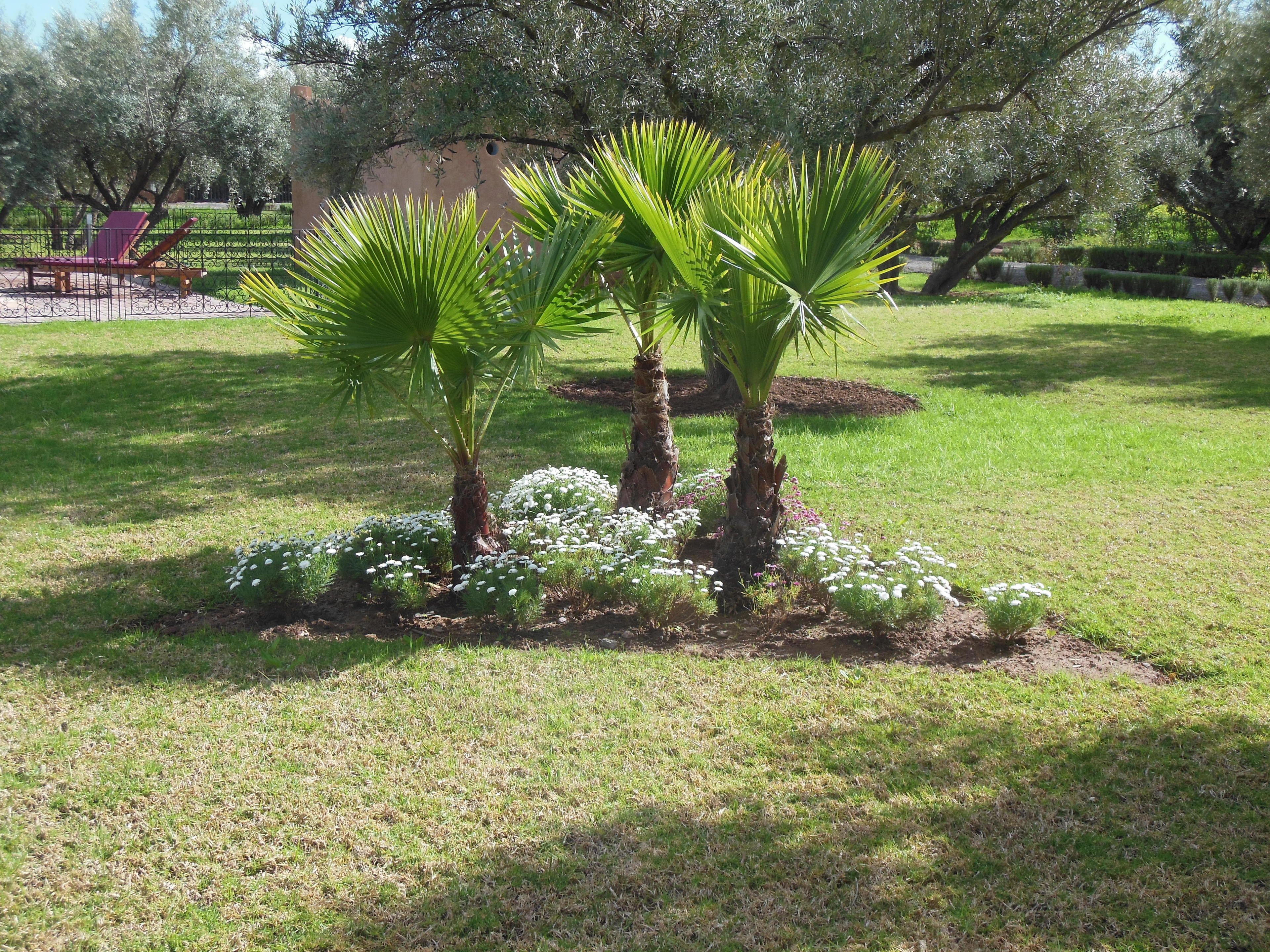 Foto - Ferme Sidi Safou & Spa