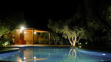 Outdoor pool, pool umbrellas, pool loungers