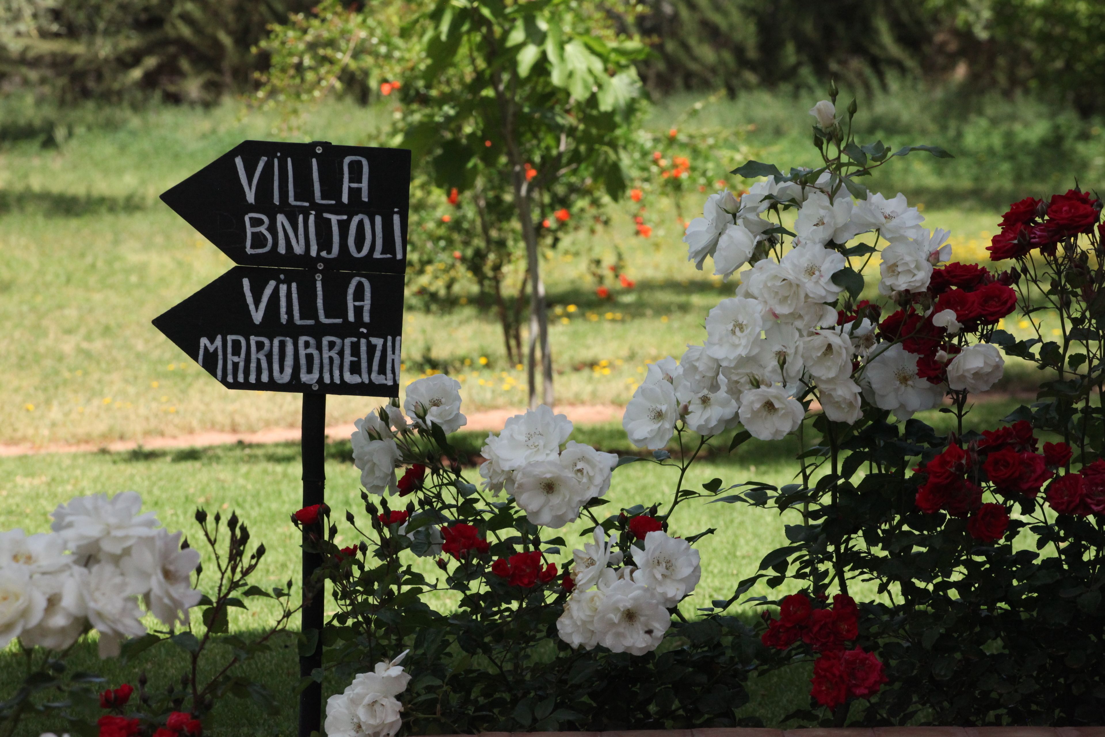 Foto - Ferme Sidi Safou & Spa