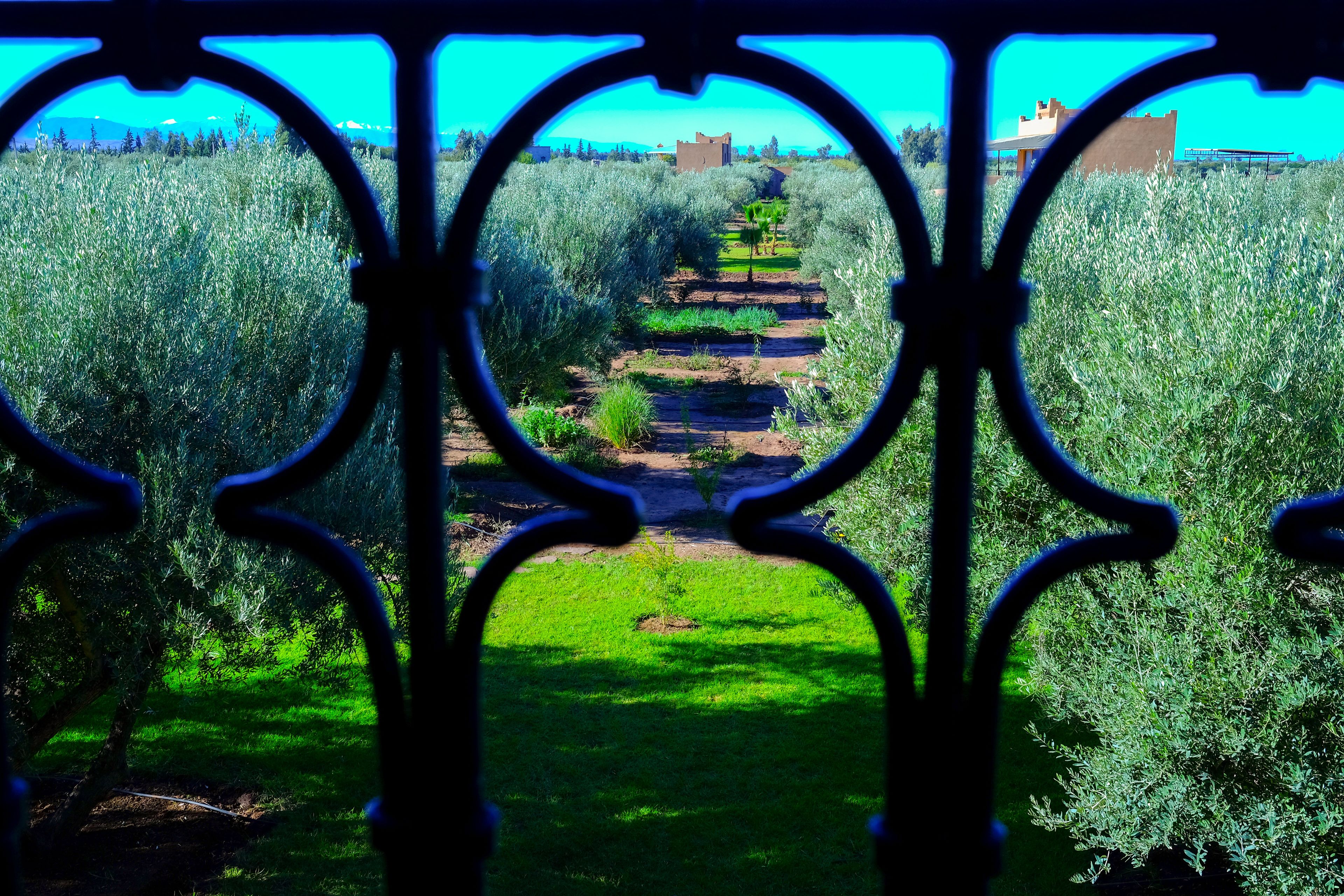 Vista desde la propiedad
