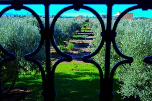 Vue depuis l’hébergement