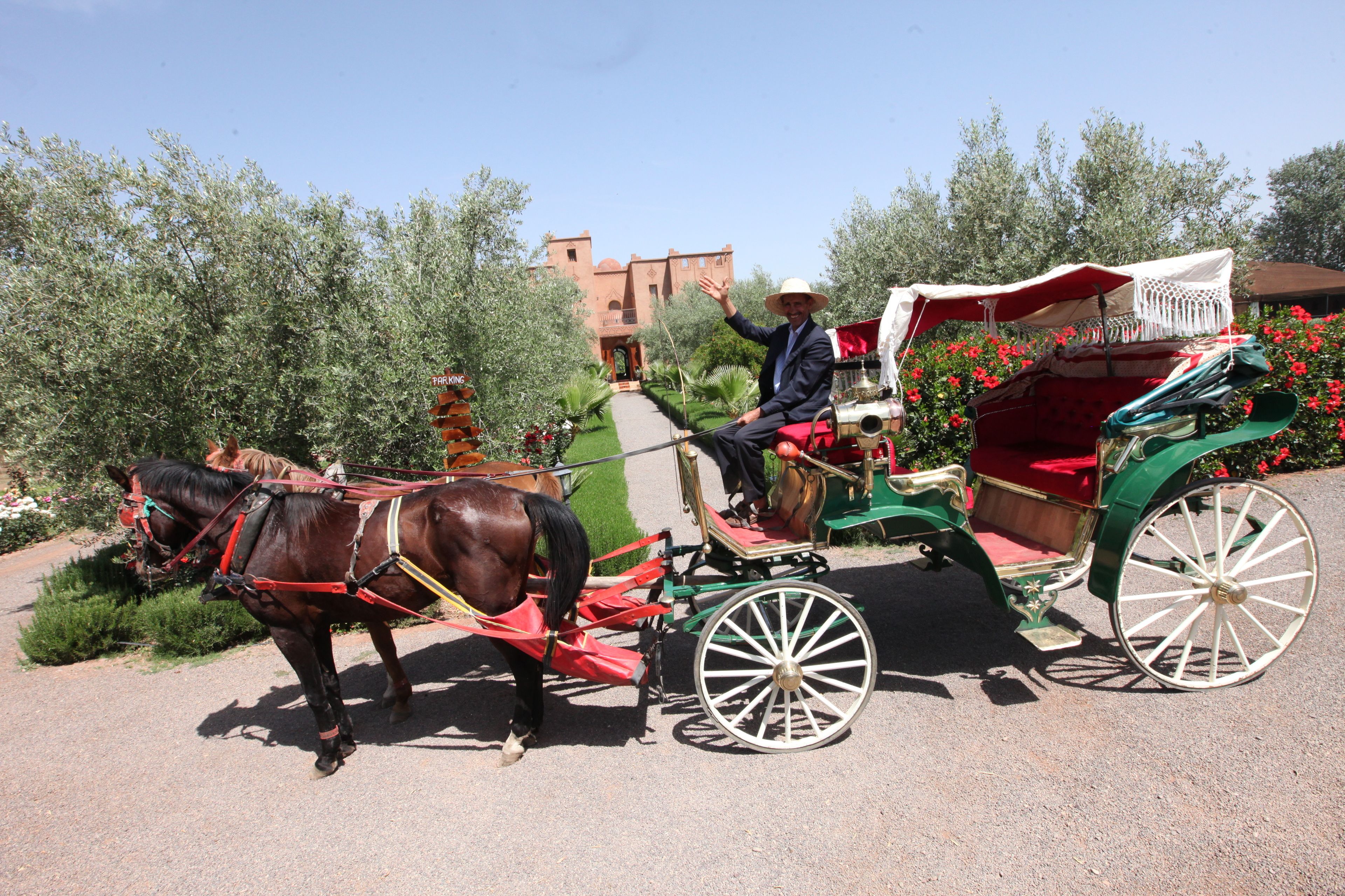 Foto - Ferme Sidi Safou