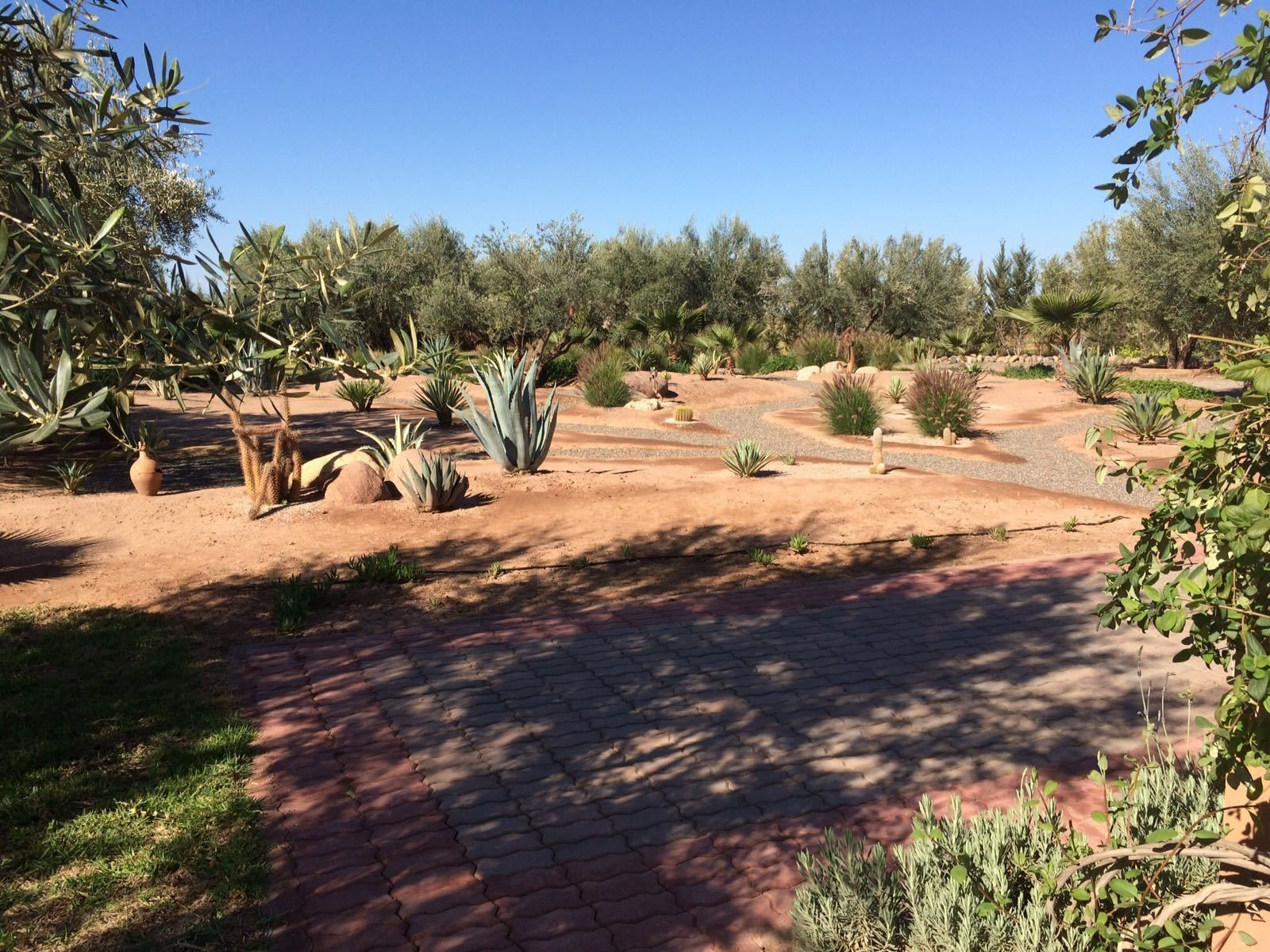 Foto - Ferme Sidi Safou