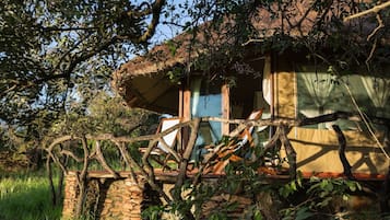 Premium bedding, in-room safe, desk, rollaway beds