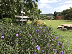 Gårdsplads
