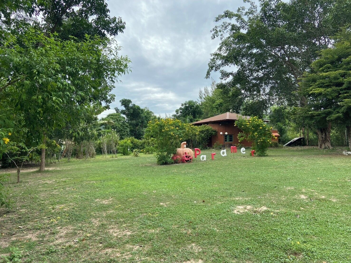 Basic Cabin, 1 King Bed