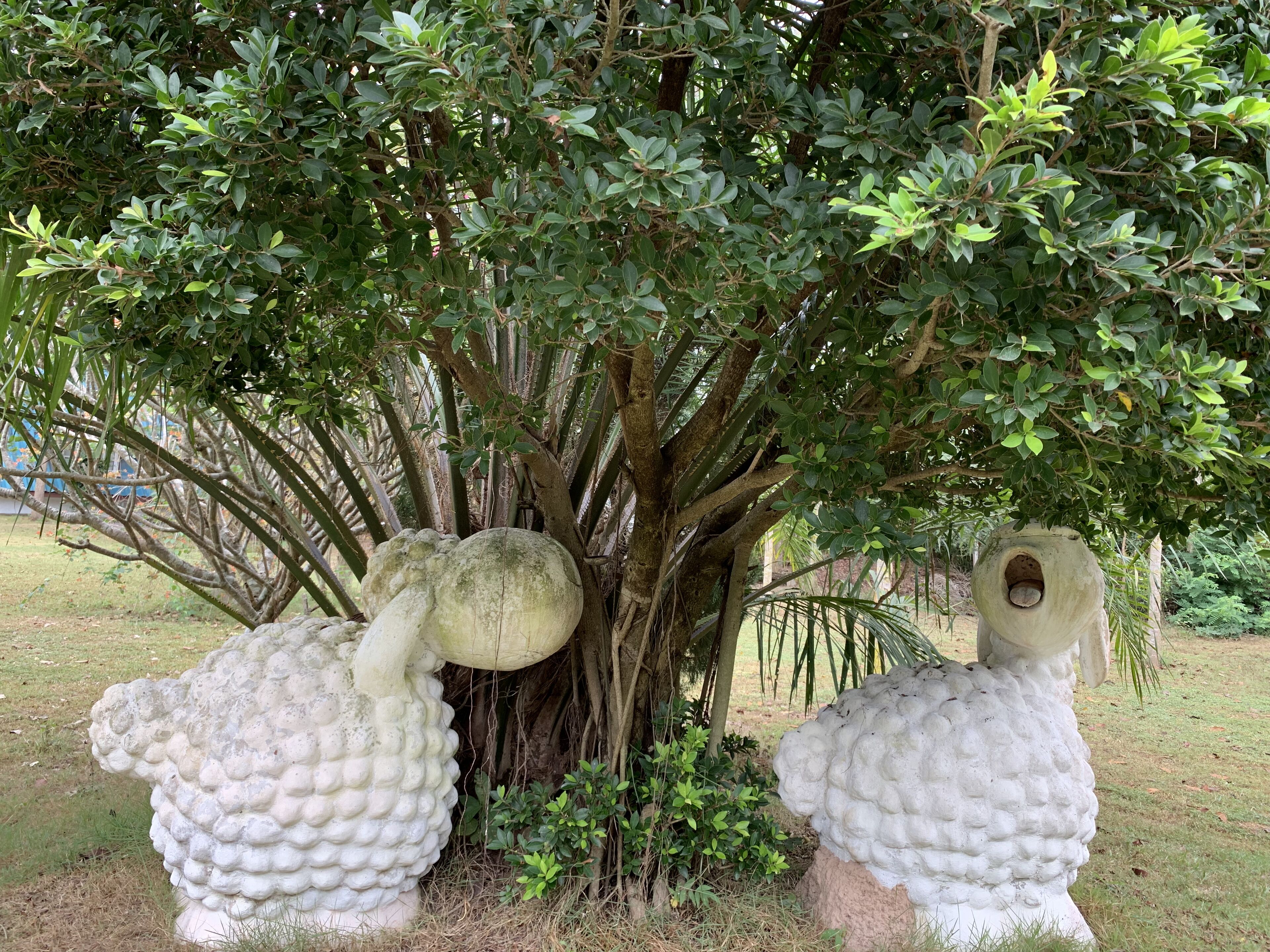 A garden with a large tree and two stone sculptures.