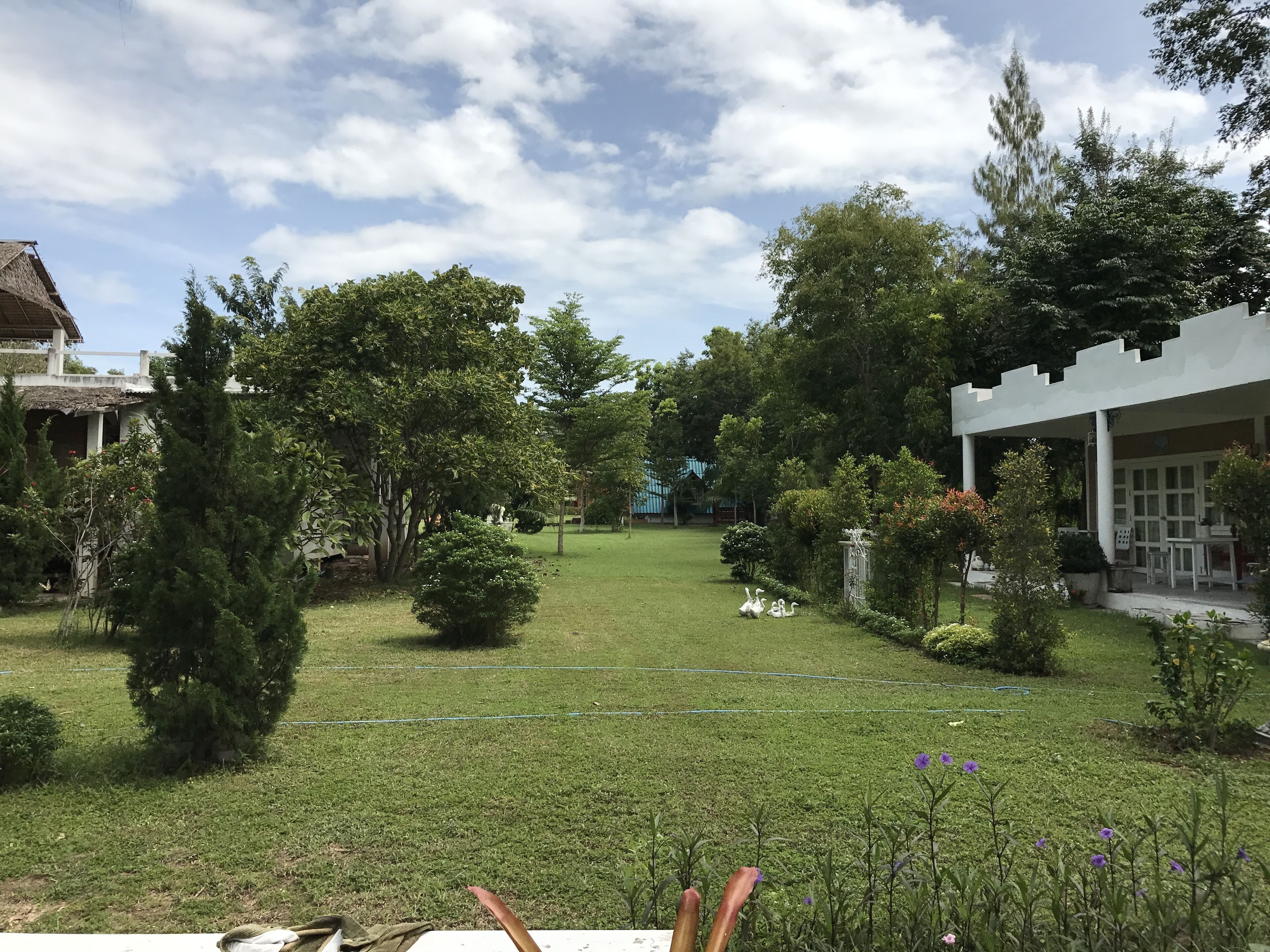 A well-maintained garden with a lawn, various trees, and a white building with a covered patio area.