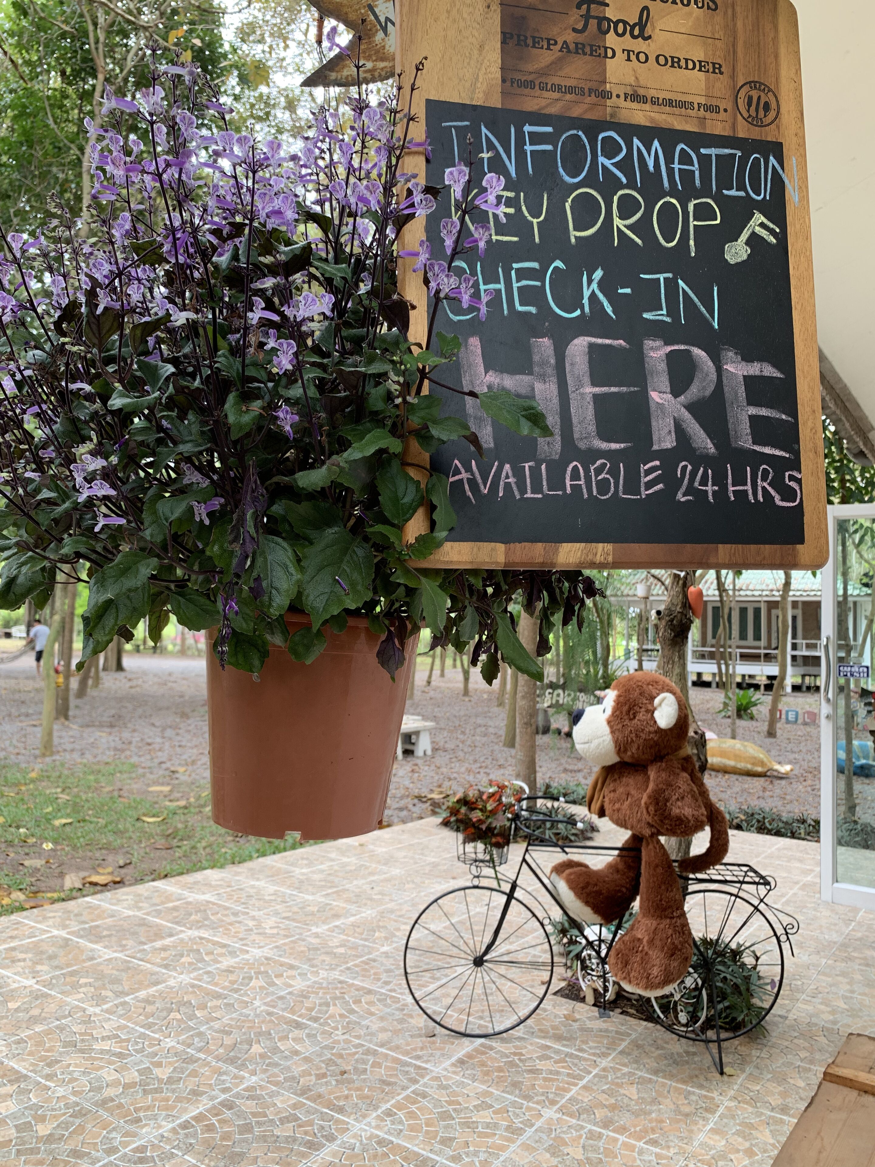 A signboard with information key drop and check-in details, a potted plant, and a teddy bear on a bicycle.