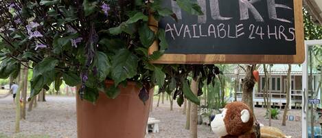 A signboard with information key drop and check-in details, a potted plant, and a teddy bear on a bicycle.