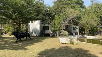 House, 2 Bedrooms, Hill View, Mezzanine | Garden view