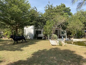 House, 2 Bedrooms, Hill View, Mezzanine | Garden view - Paramer Resort Suanphung (Suan Phueng)