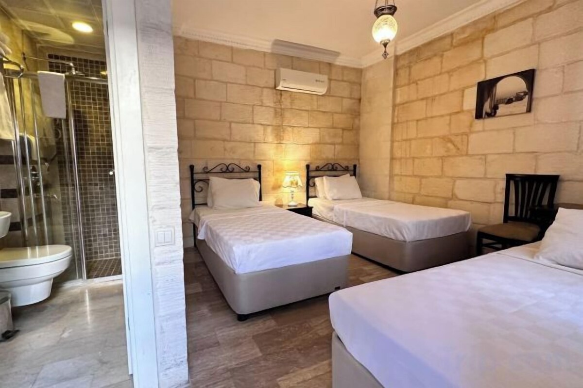 Minibar, escritorio, tabla de planchar con plancha y wifi gratis 