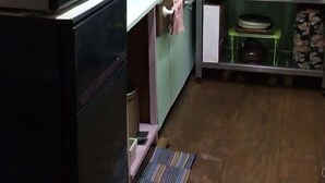 A compact kitchen with a microwave, a small refrigerator, and a sink. There is a blender on the counter and a shelf with dishes and a teapot.